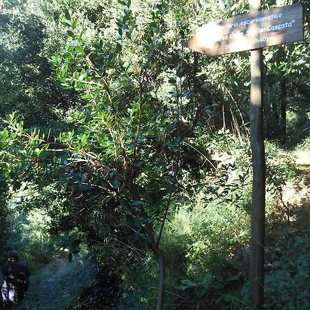 Bed & Breakfast San Pietro Serramezzana